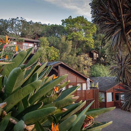 Under Milkwood Resort Knysna Exterior photo