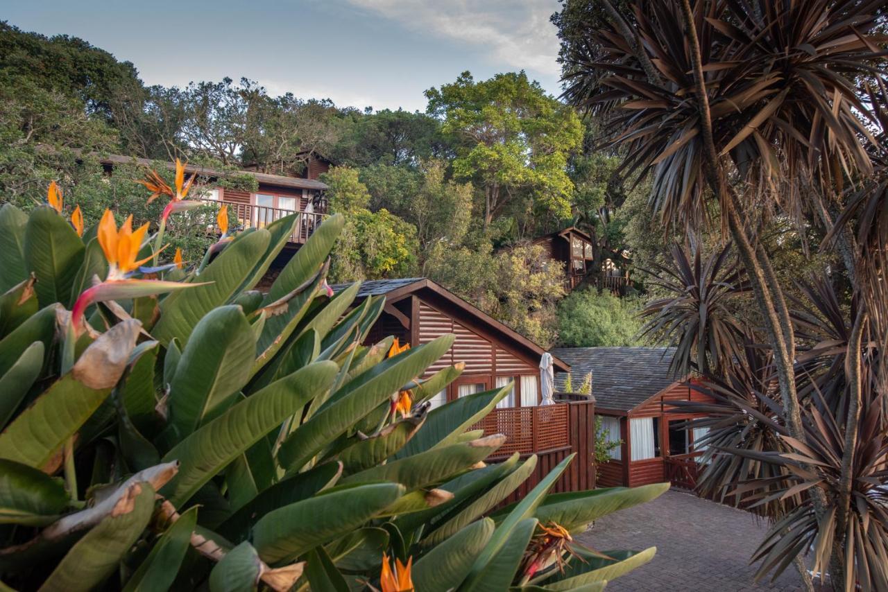 Under Milkwood Resort Knysna Exterior photo